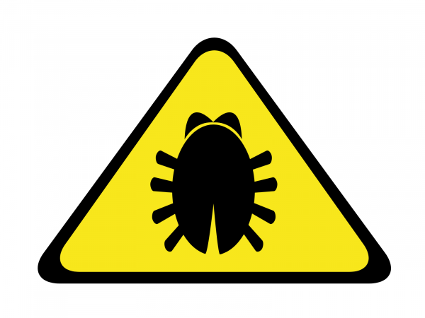 millennium bug